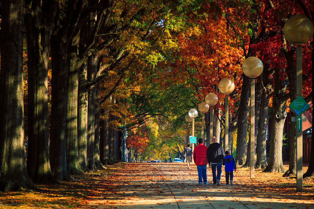 Southwest-Waterfront-Park-1024x683.jpg